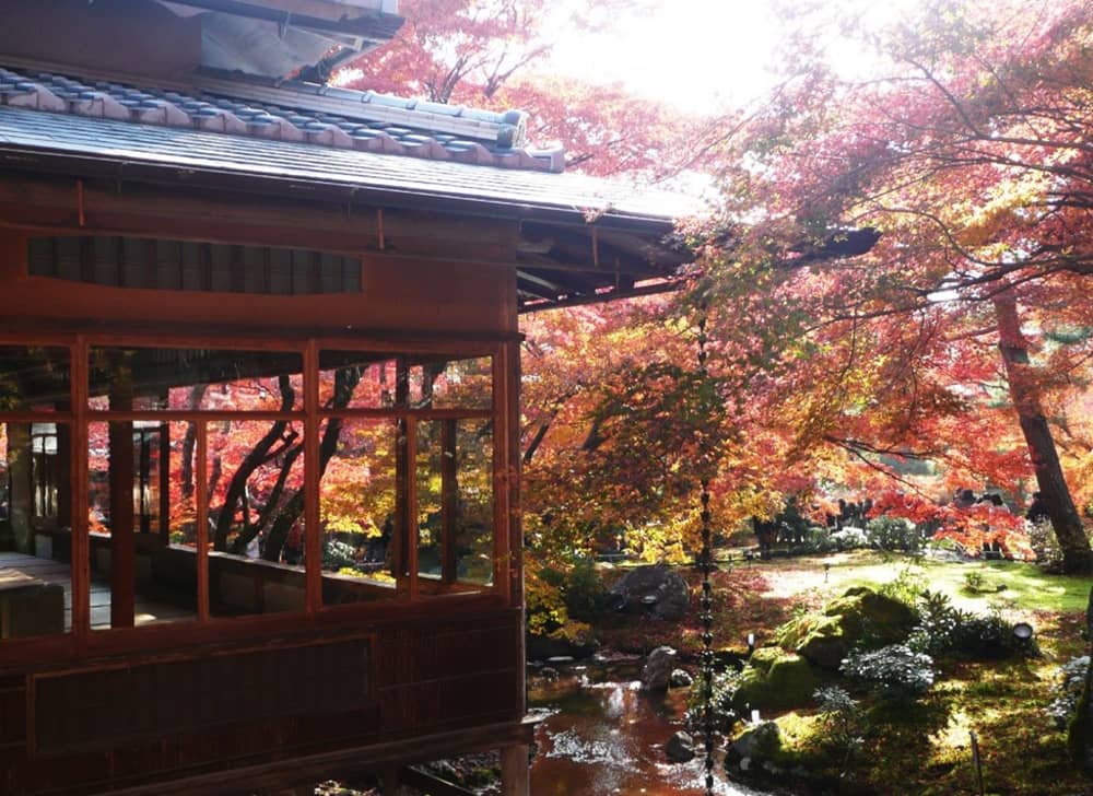 Địa điểm ngắm lá đỏ Kyoto
